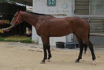 �ݼ�Ȳ�� (GEUMSEONGHWANGJE) ����