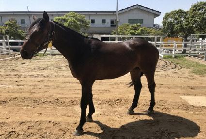 ��������� ����