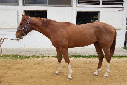 �������̽� ����