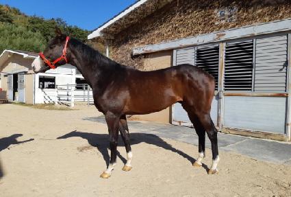 ����Ҵ� ����