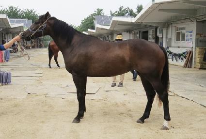 ����ȹ��� ����