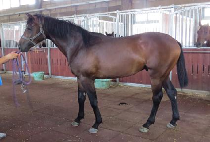 ���ʸ���ƾ ����