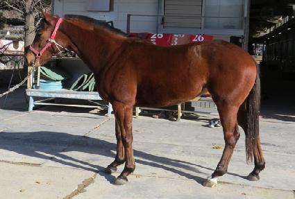 ���������̵� ����