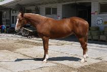 ���ɺ��� (YEOGEOL VISION) ����