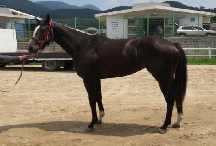 ����� ����