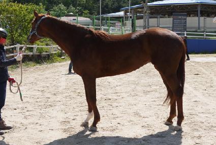 ŷ���꼱���� ����