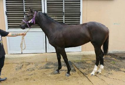 ������ ����