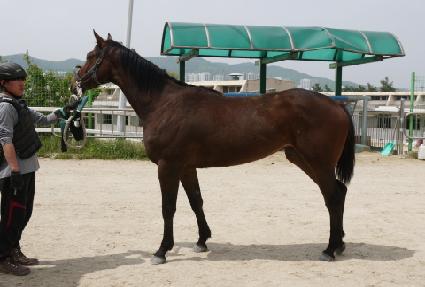 õ������ ����