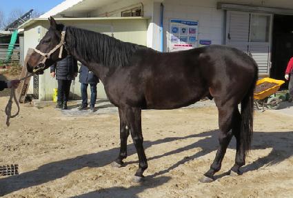 �Ƹ��� ����