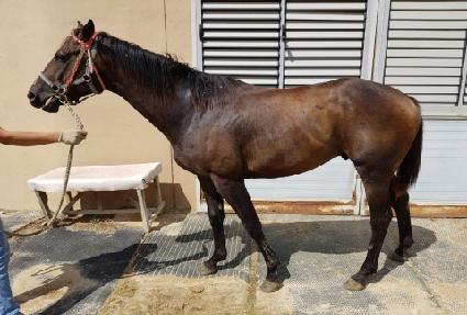 �������� ����