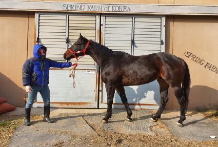 �ο����� ����