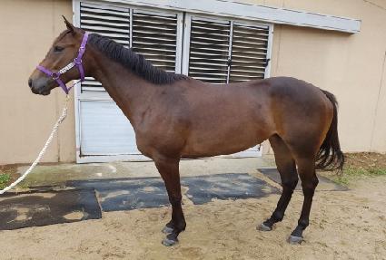 ū���� ����