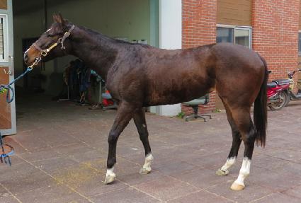 ��ġ�����̵� ����