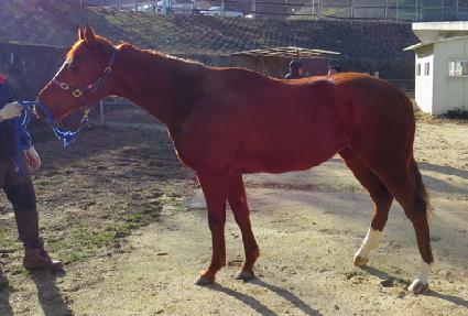 ���弱 ����