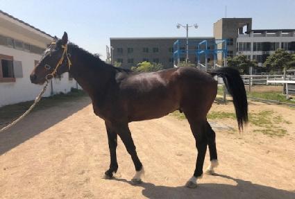 ���ο���� ����