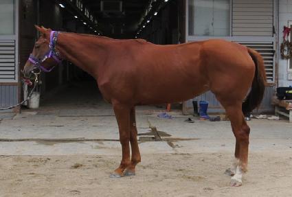 õ���Ǻ� ����