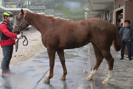 �����Ƽ ����