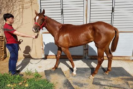 �Ǿ�Ʈ�轺 ����