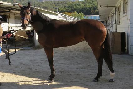 Ű���δ���ũ ����