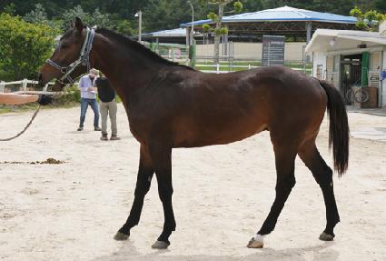 �ε������� ����