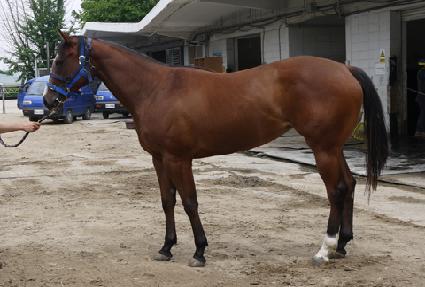 �����극�̽� ����