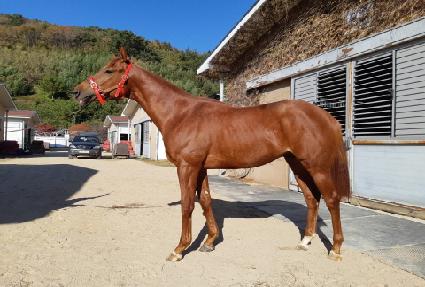 �ѹ�����Ÿ ����