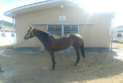 ���� ����