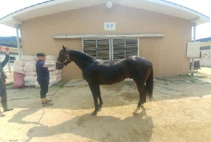 Ÿ������ ����