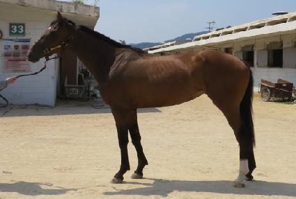 ťƼ�ٺ� ����