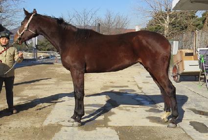 �Ž����ڵ� ����