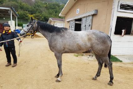 ���̽�ũ���� ����