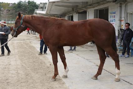 �ҿ�� ����