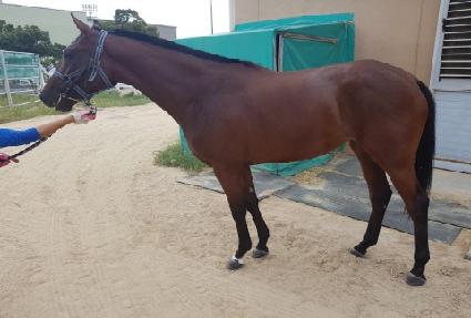 �����¡���� ����