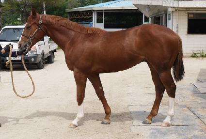 �������� ����