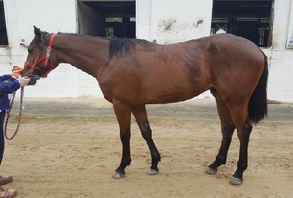 ���Ŭ���� ����