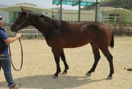 ������ ����