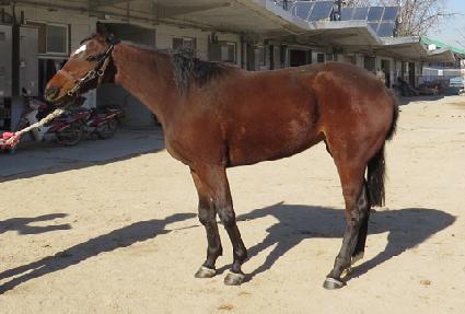 ���ú� ����