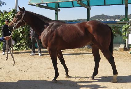 �߸���Ÿ ����