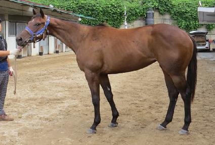 ����ѴϹ� ����