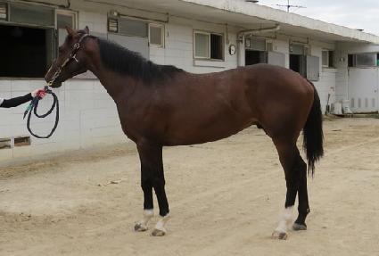 �ٴ������� ����