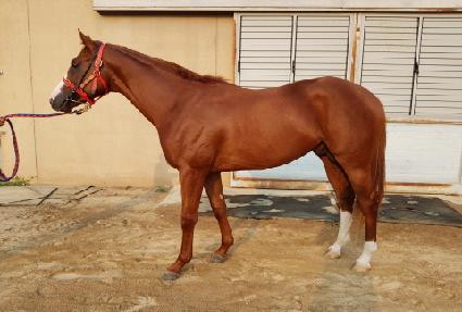 ����ó ����