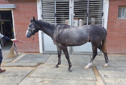 ���� ����