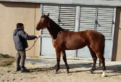 ����¡�� ����