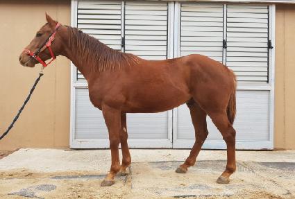 ���Ÿ�� ����