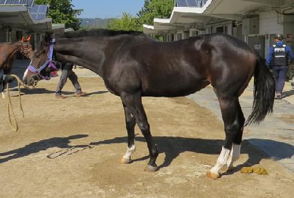 ��콺�� ����