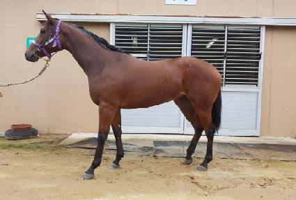 ��ũ�� ����