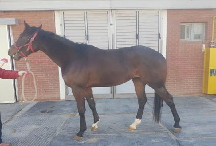 �丣�𵵷��� ����