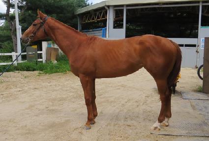 �����׸��� ����