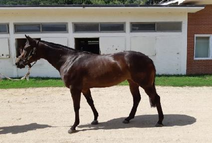 �ʵ����� ����