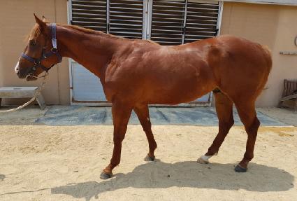 ���̾� ����